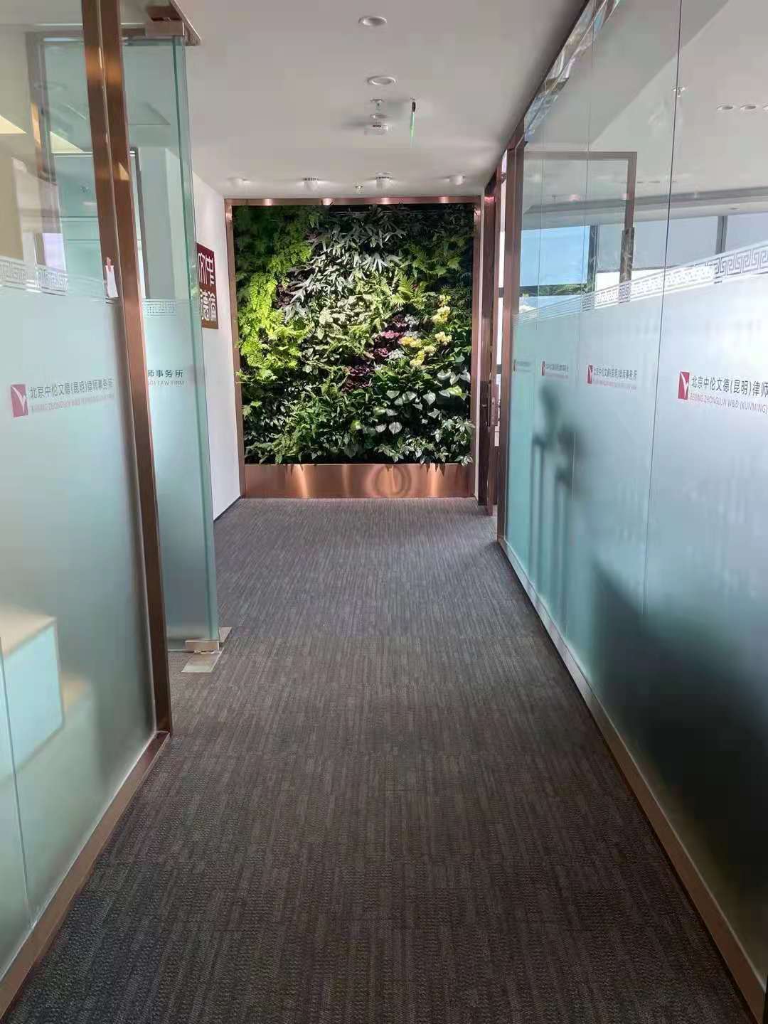 شركة محاماة زونغلون ويندي (كونمينغ)